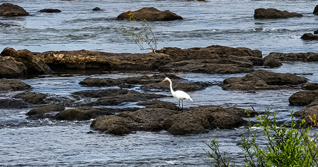 Aumenta la inestabilidad con lluvias y tormentas durante el fin de semana