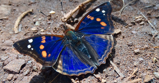 Jornada estable con nubosidad variable y leve descenso térmico