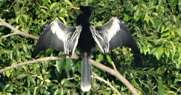 Jornada cálida y estable con cambio a lluvias el fin de semana