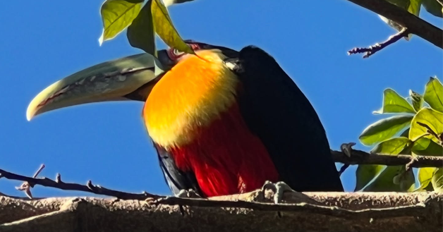 Continúa el tiempo cálido con lluvias hacia el fin de semana