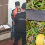 Arrestaron a un presunto dealer y secuestraron droga en operativos policiales