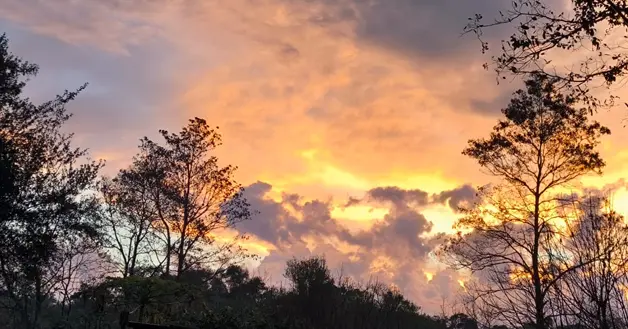Cielo Nublado