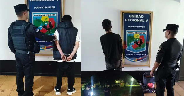 Policiales