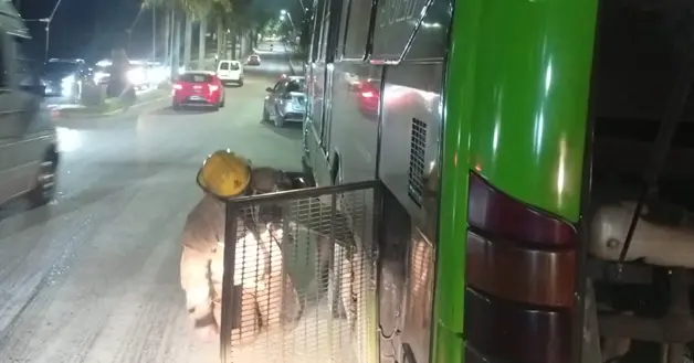 Bomberos